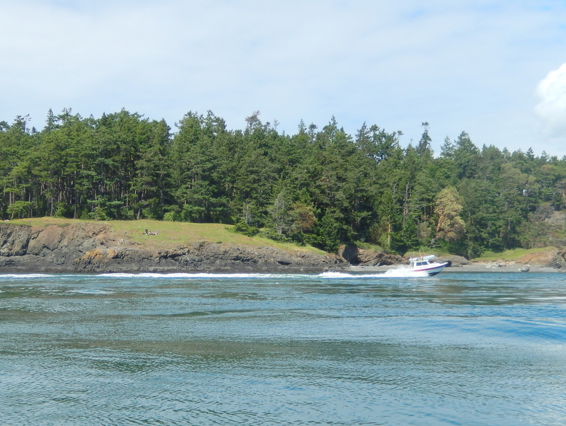 Robbie's Refuge on plane, 
racing See-Saw to the takeout in Cornet Bay