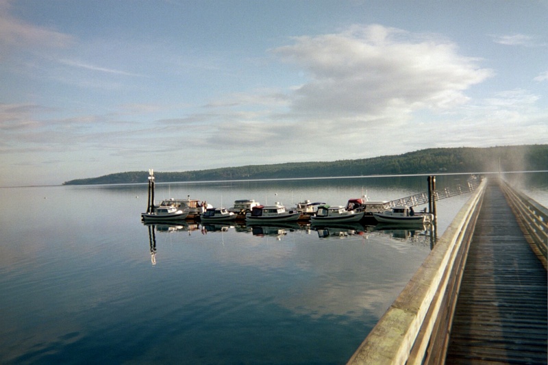 (Roberta Krumm) What a morning!