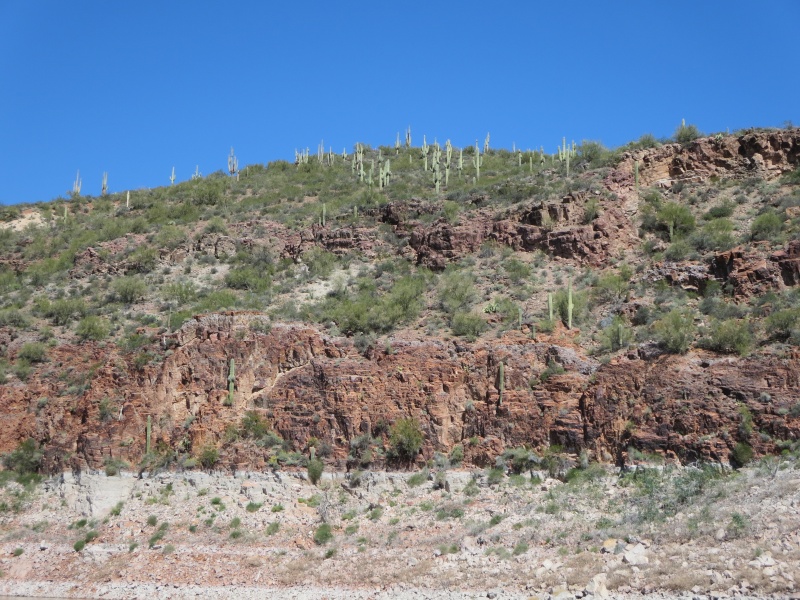 Roosevelt Lake