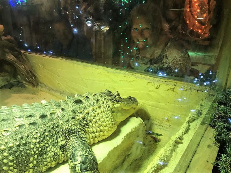 Rosanne and Mike staring down the gator.
