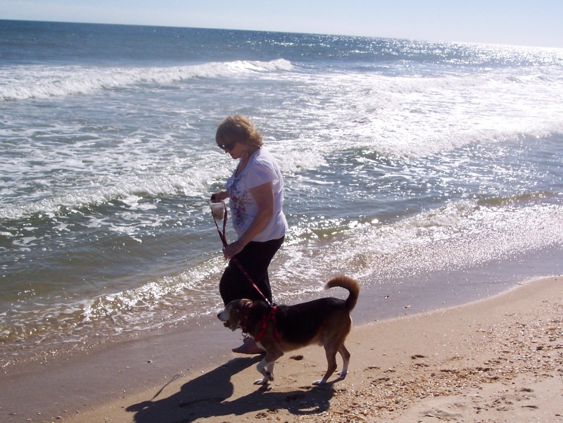 Rufus Shelling on the Beach at St. George Island