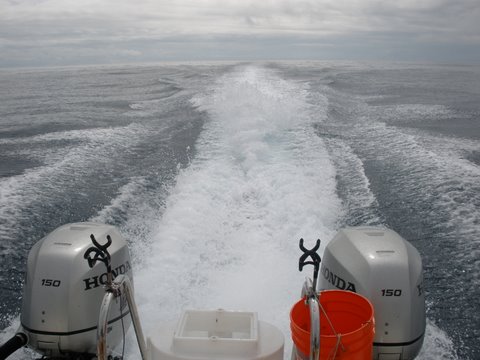 Running @ 30 kts 70miles out from Gumdrop Seamount 2009