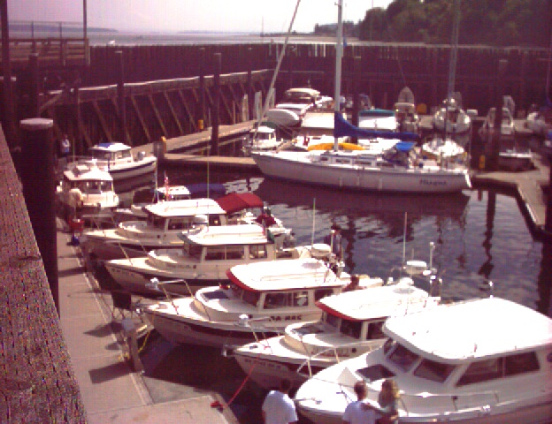 (Ruth & Joe) C-Dory Line-up