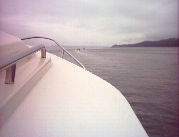 (Ruth & Joe) Way off in the distance the two small specks are Bambina & Da Nag on their way to Seattle.