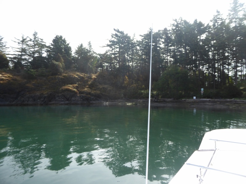 Saddlebag Island