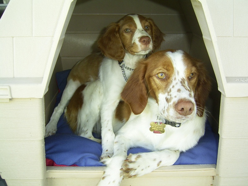 Sadie and Chloe