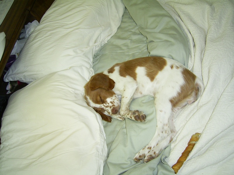 Sadie Lady 006
