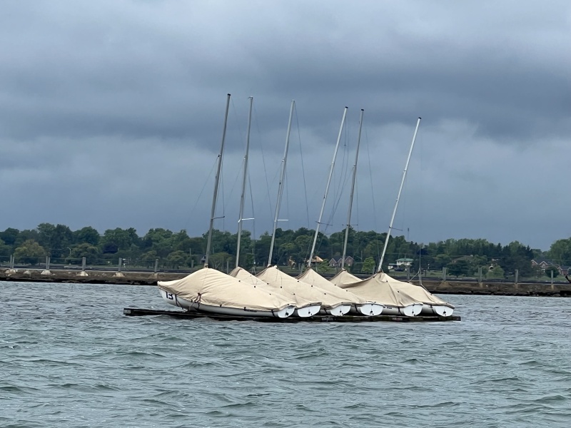 Sailboats Dry Docked
