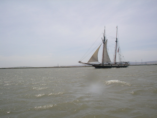 sailing ship seen on the way to the duck club