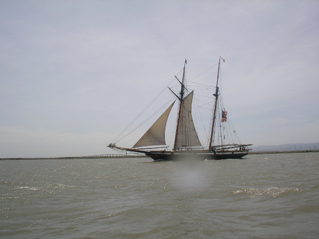 sailing ship seen on the way to the duck club