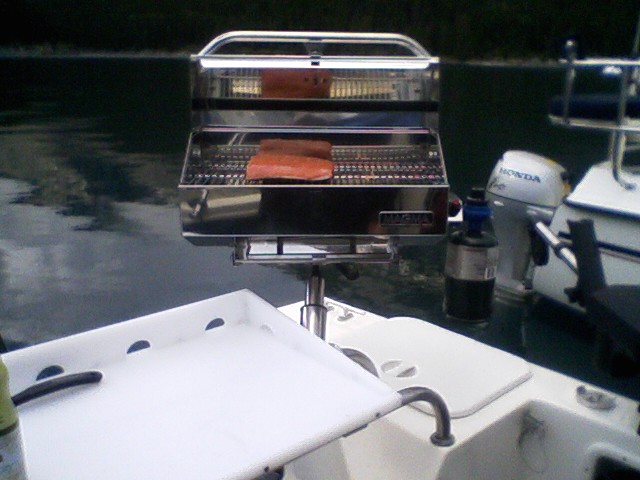 Salmon filet on new BBQ