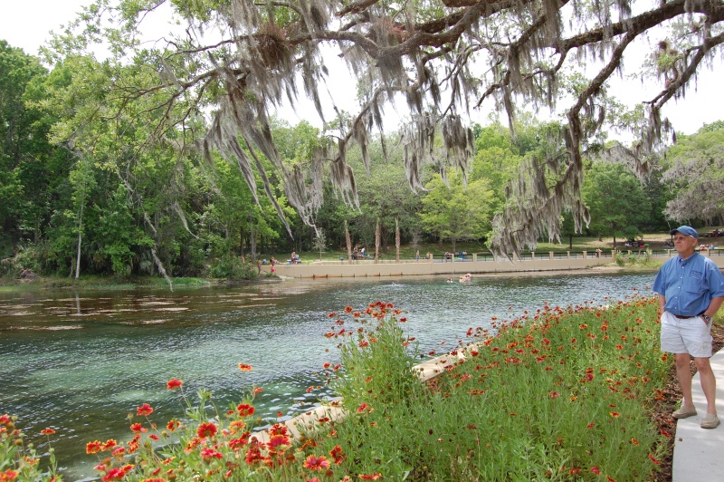Salt Springs near Astor, Fl.