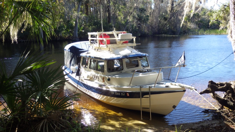 Salt Springs Run