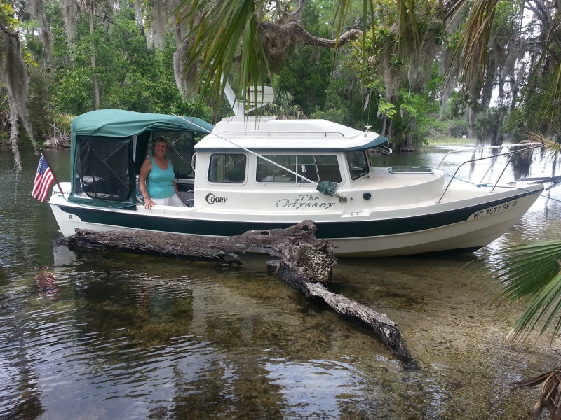 Salt Springs