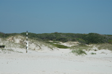 Sand Dunes on Cumberland