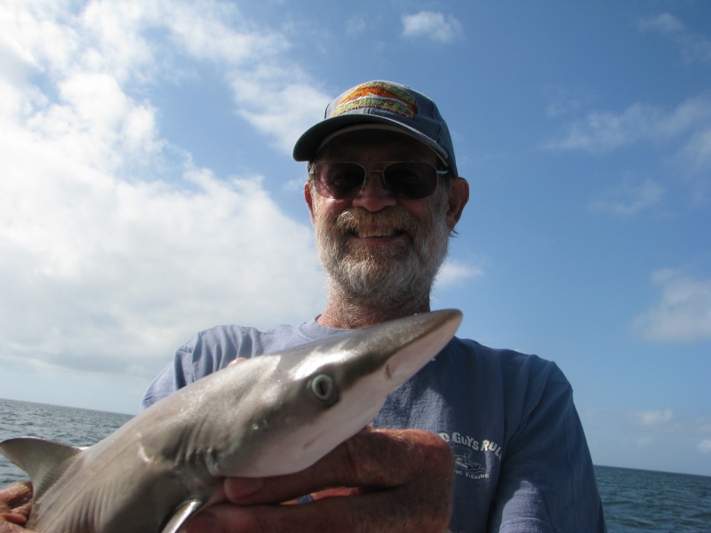 Sand Shark