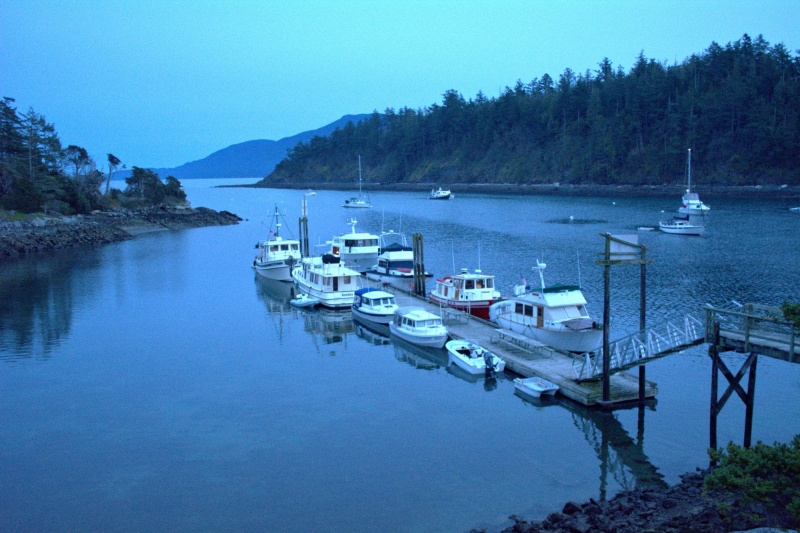 Saturday night at Fossil Bay