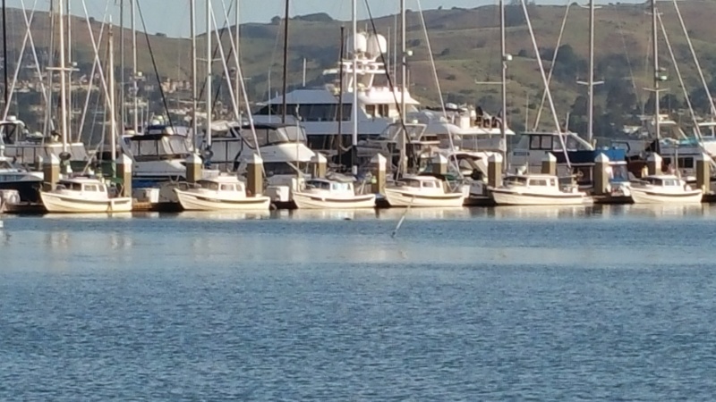 Sausalito F Dock