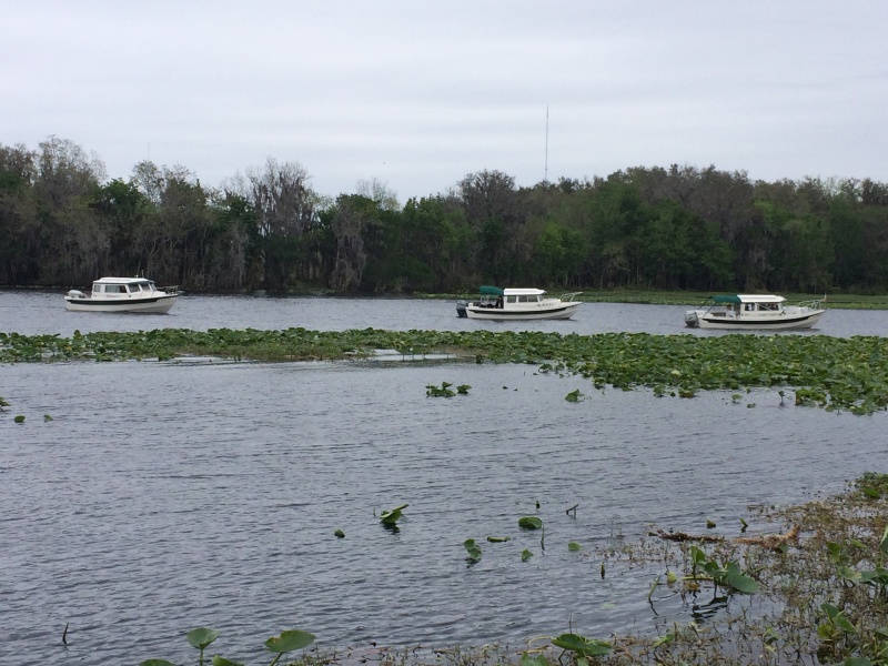 Saw these guys headed to lunch at the Swamp. Alma\'s Only, Safari and Skimmer