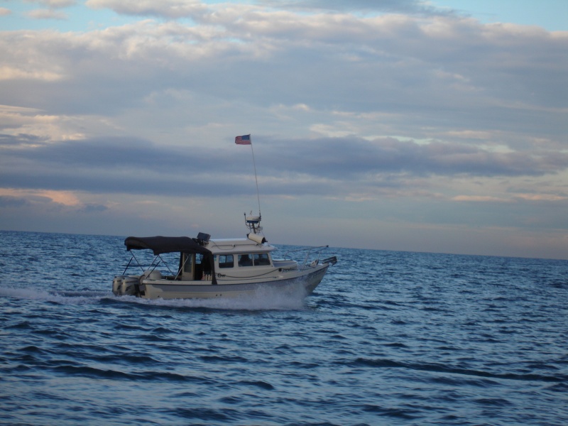 SB06 1-Fish Tales Flying the Colors