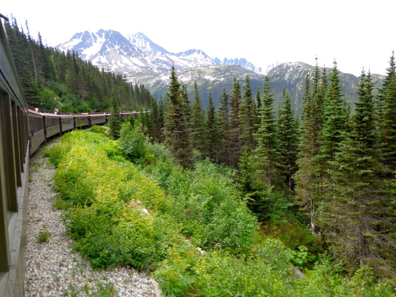 Scenery was gorgeous on the White Pass train