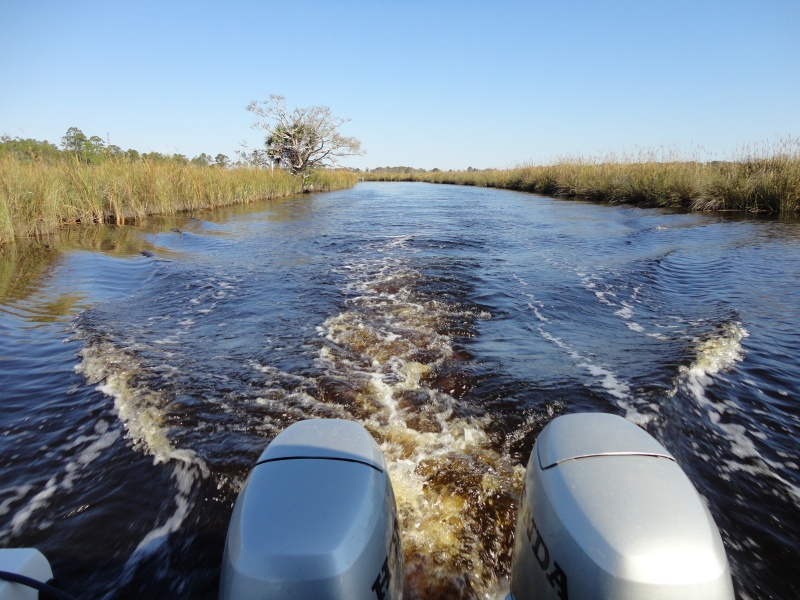 Scipio Creek