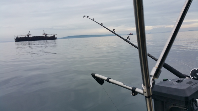 Scotty downrigger