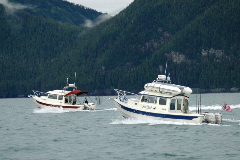 Sea Duck and 3rd Byte running