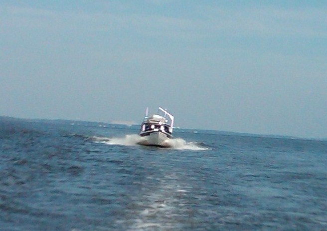 Sea Pal Crossing Albemarle