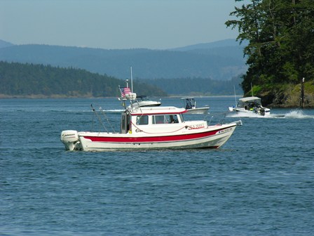 Sea Shift Arrival