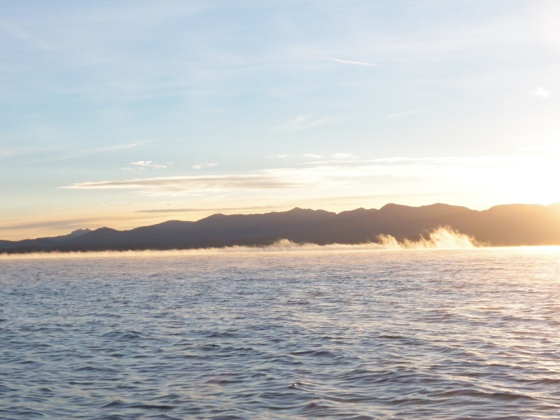 "Sea smoke" along the shore.