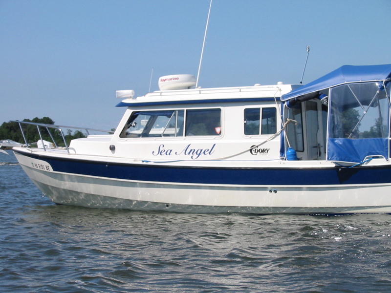 seaangel2