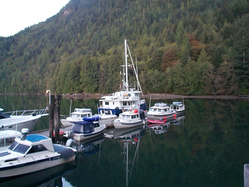 (seabran) Five C-Dorys at the dock. - Wildernest