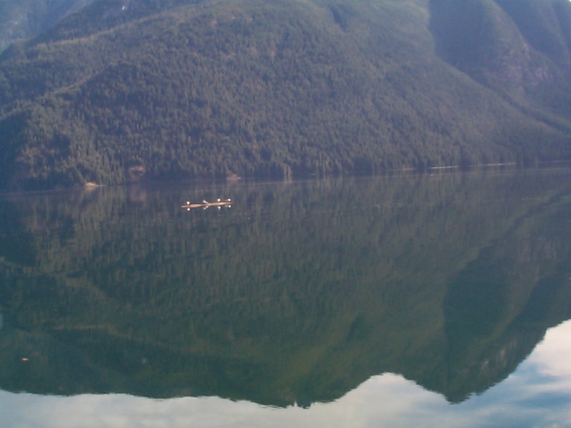 (seabran) Four birds on a log. I like the reflected mountains.