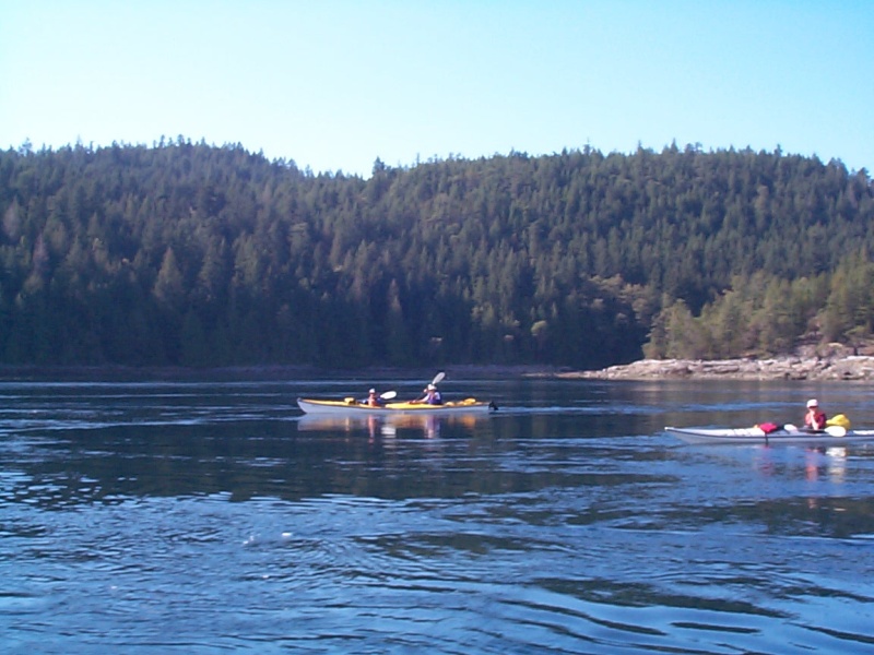 (seabran) Kayakers criusing with the current - Malaspina Inlet.