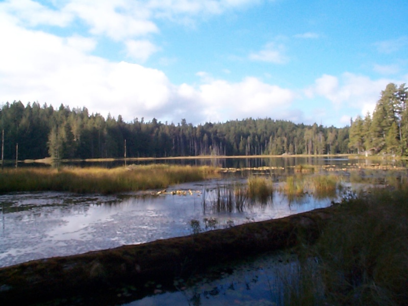 (seabran) Lake above Grace Harbor.