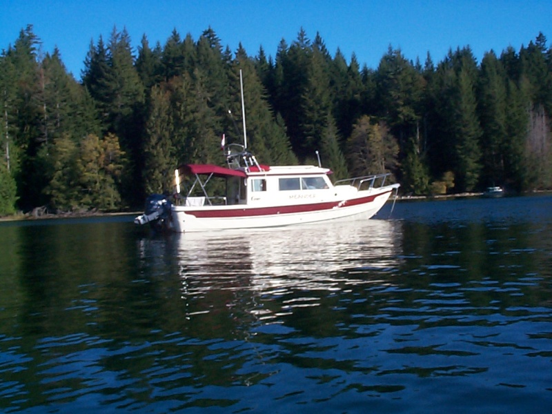 (seabran) Meander - Squirrel Cove