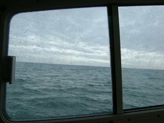 Seas aren't bad at all for early March!