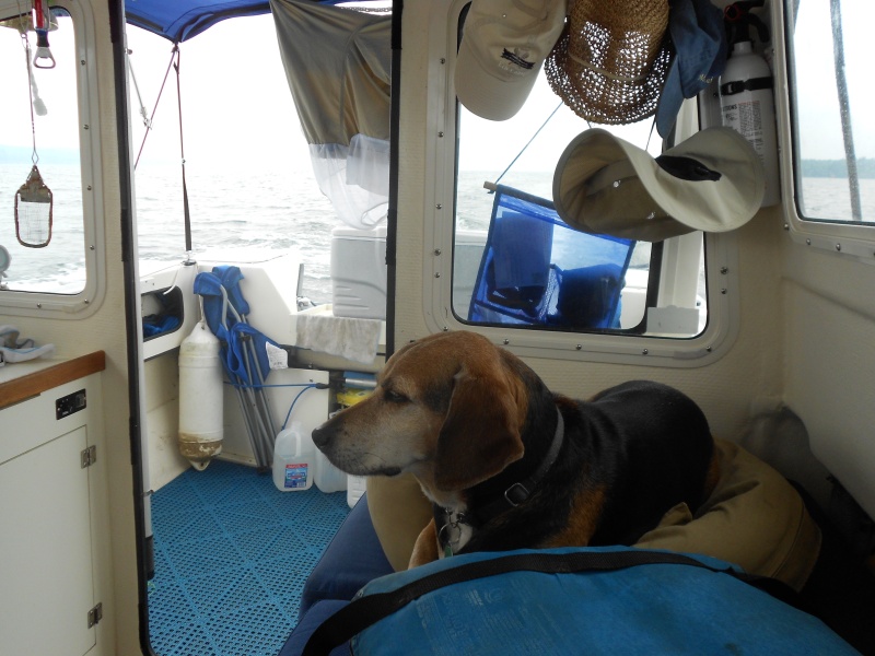 Second mate and Scout