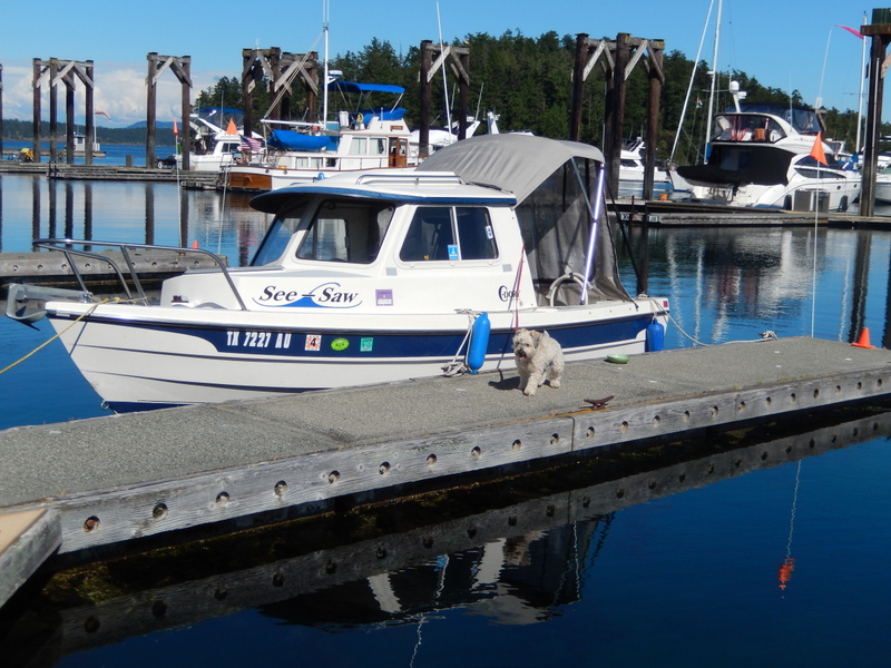 See-Saw and Lindy, the C-Dog, at dock in Friday Harbor