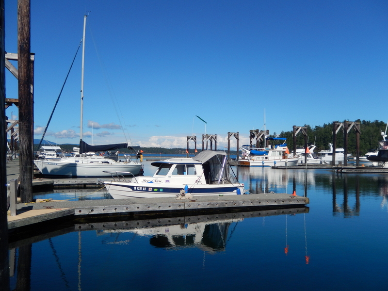 See-Saw and Lindy, with "boat-neighbors" at dock in Friday Harbor