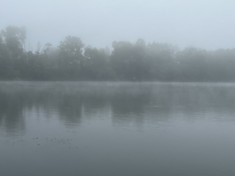 Seneca Falls in the Fog