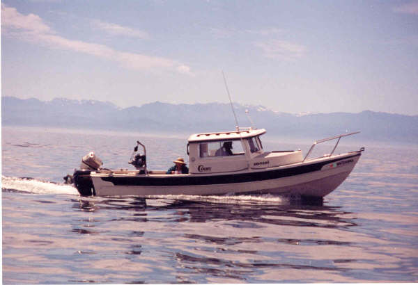 Sensei and Olympic Mountains.jpg