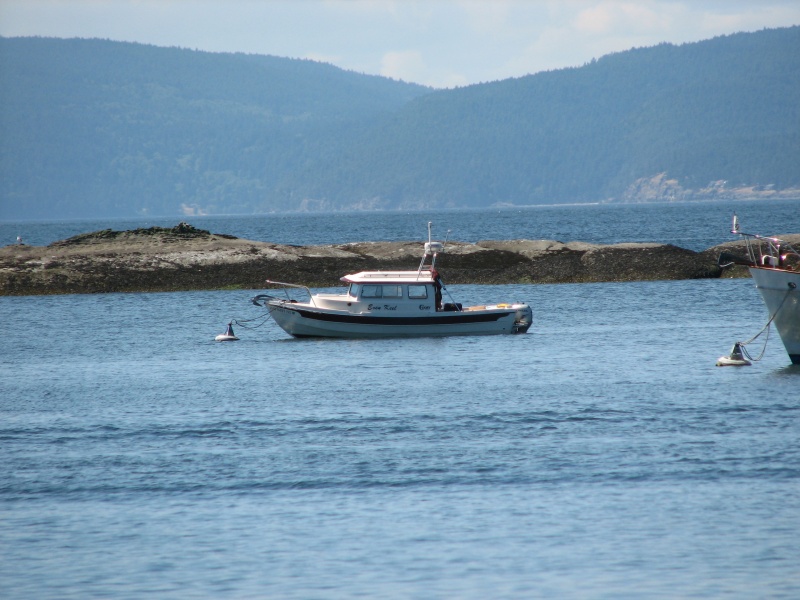 Shallow Bay