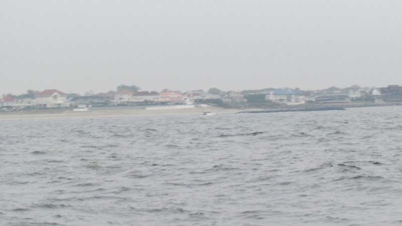 Shark River Inlet