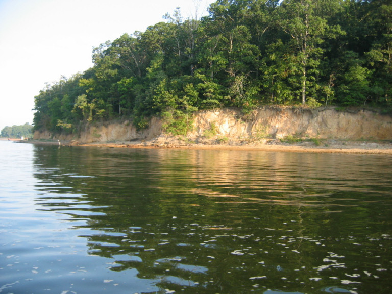 Shoreline on Barkley Canal and Kentucky Lake