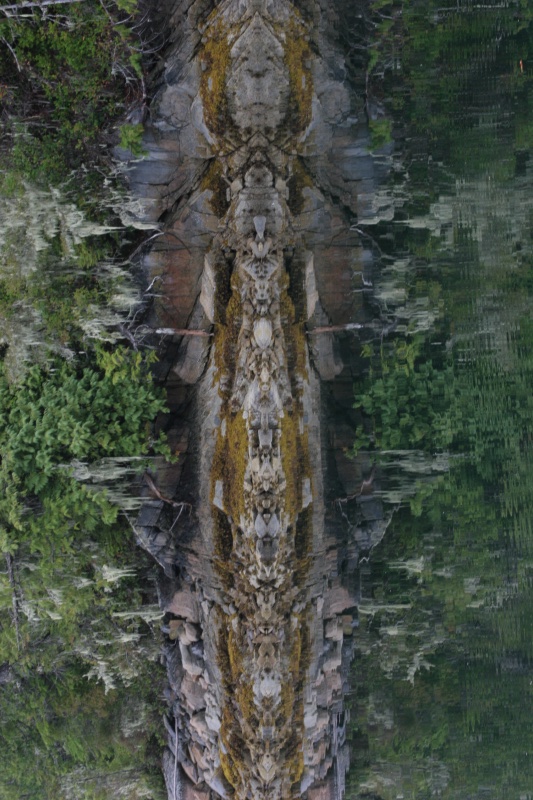 Shoreline Totem