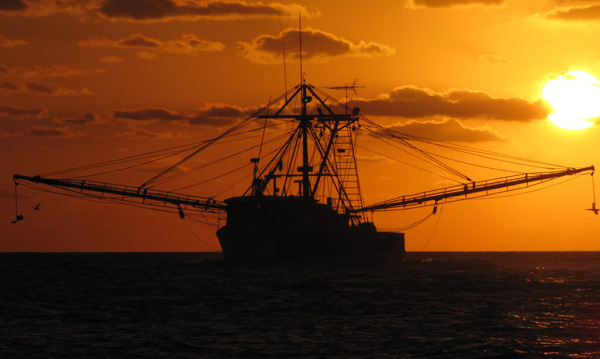 Shrimper at sunrise