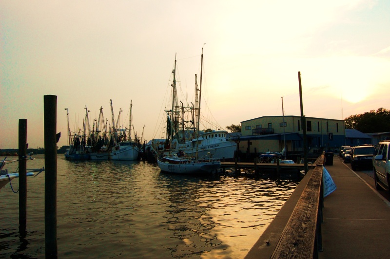 Shrimpers