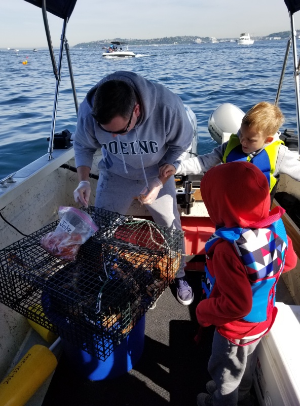 Shrimping 2019 elliot bay